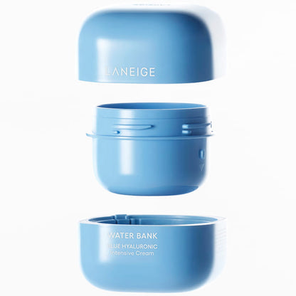 Water Bank blue Hyaluronic Intensive Cream [Refill] 50ml