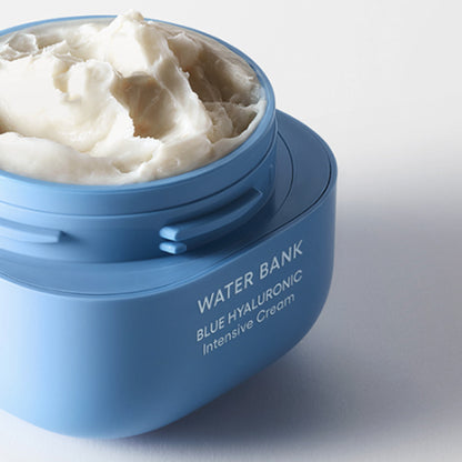 Water Bank blue Hyaluronic Intensive Cream [Refill] 50ml